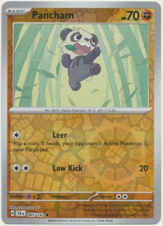 Pancham Common Reverse 85 /144