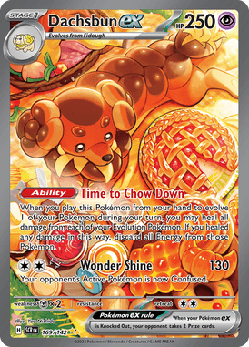 Dachsbun ex Special Art Rare 169 /144