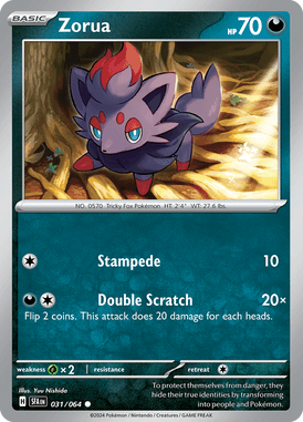 Zorua Common 31/ 64