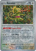 Kecleon CBasic Common Reverse 150 /191